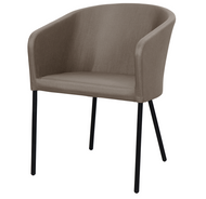 ZUPY Dining Chair (Monocolor)